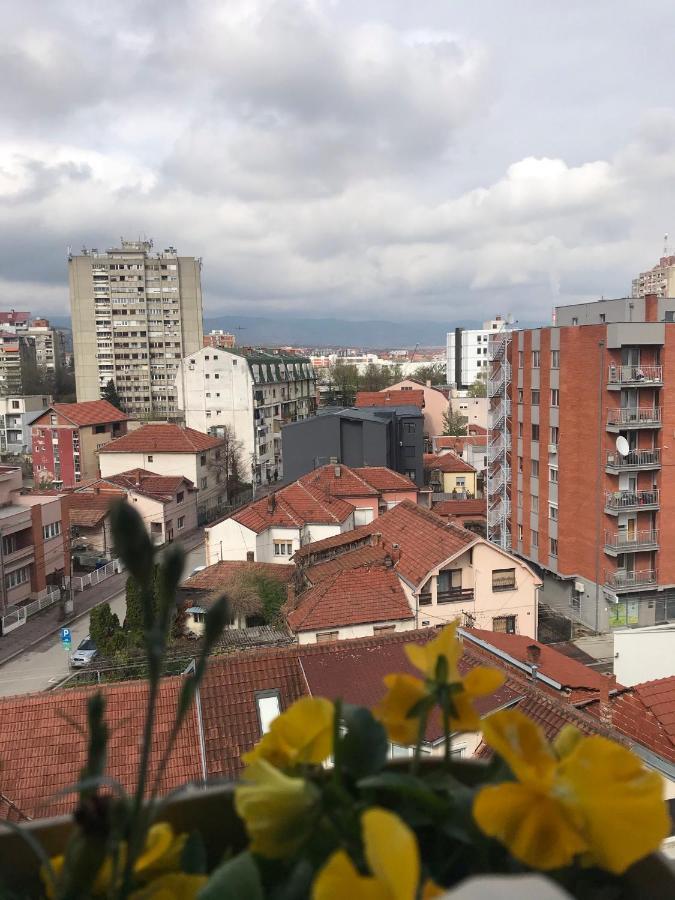 Belvedere Ni المظهر الخارجي الصورة